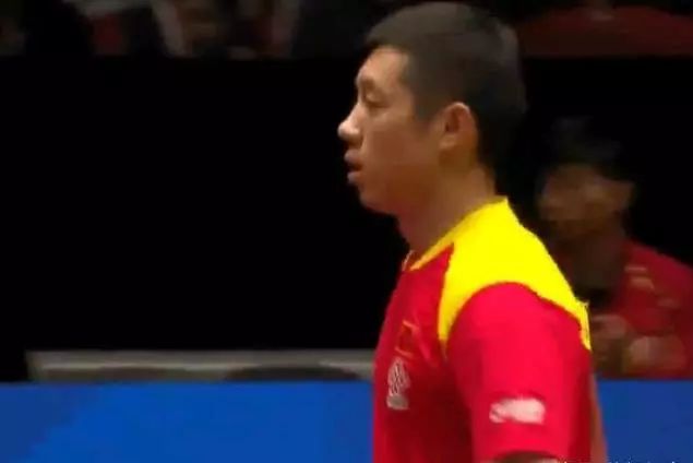 近年来不仅 近年来不仅