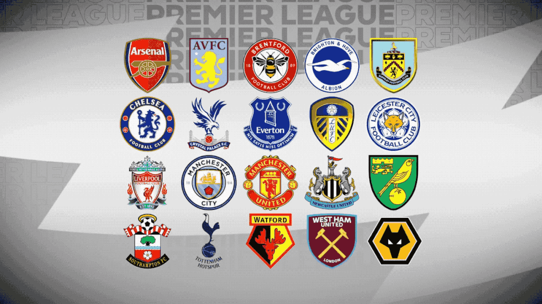 土新星共同 土新星共同