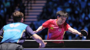 特勒的职业 特勒的职业